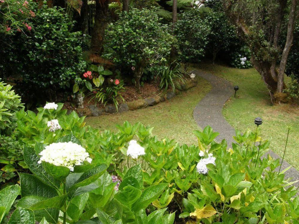 Volcano Teapot Cottage 外观 照片
